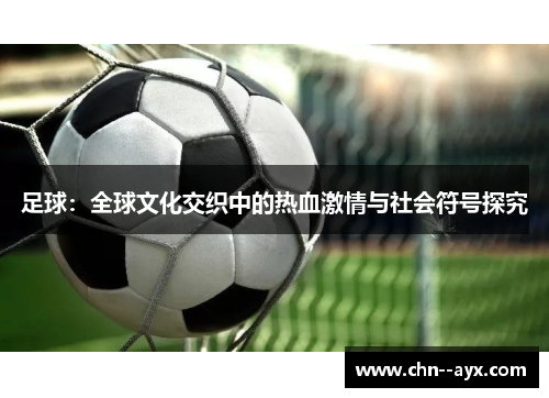 足球：全球文化交织中的热血激情与社会符号探究