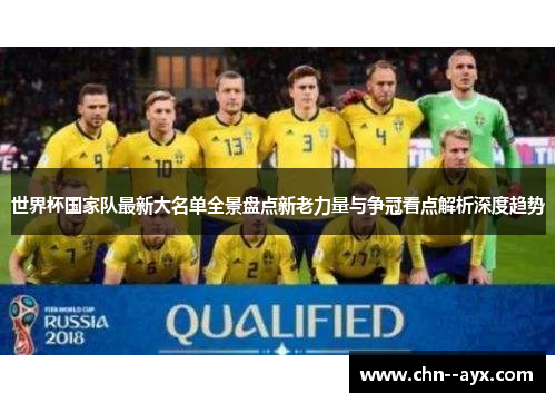 世界杯国家队最新大名单全景盘点新老力量与争冠看点解析深度趋势