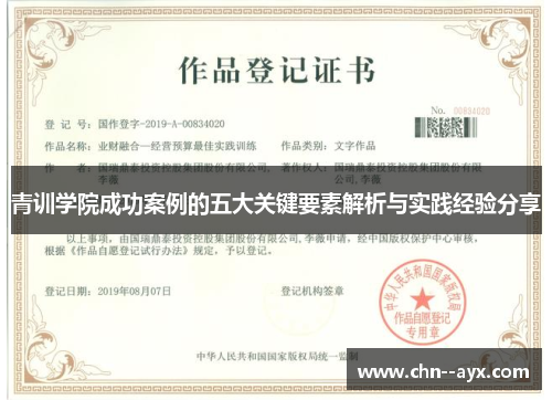 青训学院成功案例的五大关键要素解析与实践经验分享