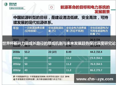 世界杯新兴力量成长路径的形成机制与未来发展趋势探讨深度研究论