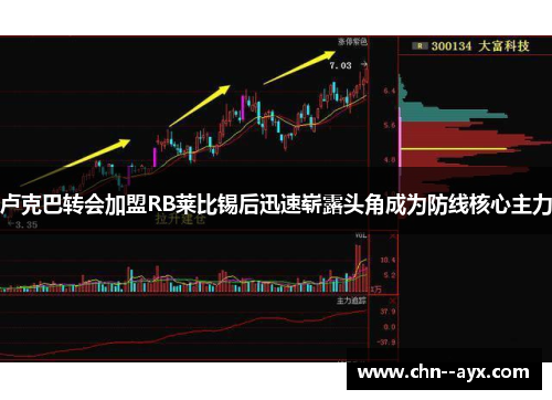 卢克巴转会加盟RB莱比锡后迅速崭露头角成为防线核心主力
