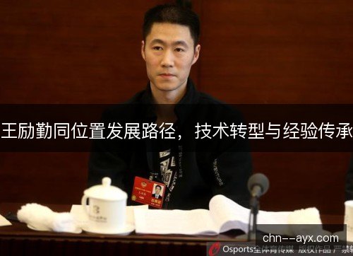王励勤同位置发展路径,技术转型与经验传承 王励勤同位置发展路径,技术转型与经验传承